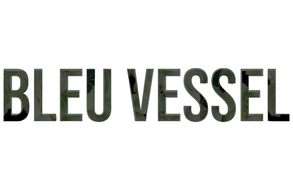 BLEU VESSEL and VALHOLLA RECORDS Announce Strategic Partnership for Physical and Digital Releases